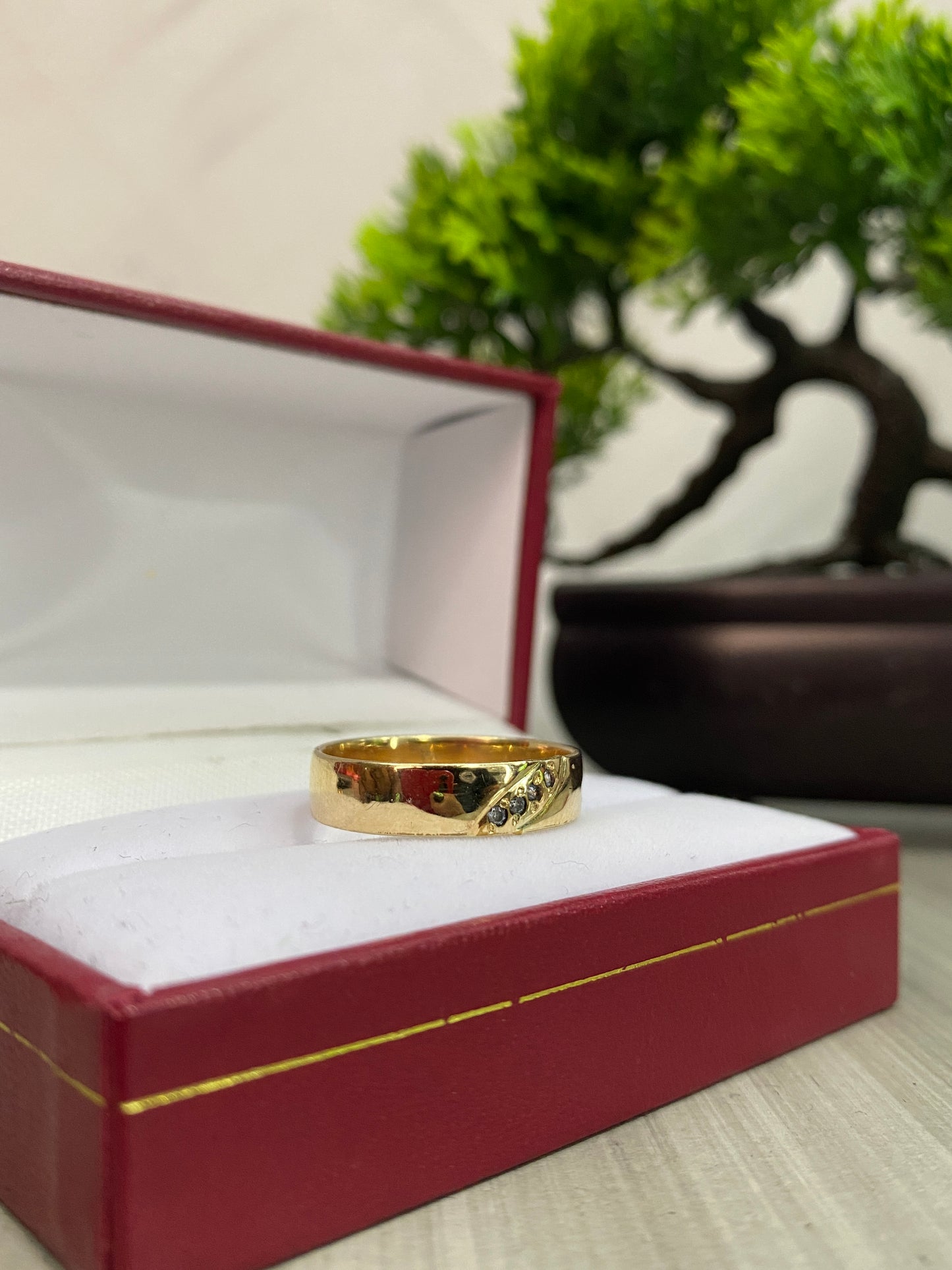 Argolla Matrimonial lisa Circonada blanca Talla 7
