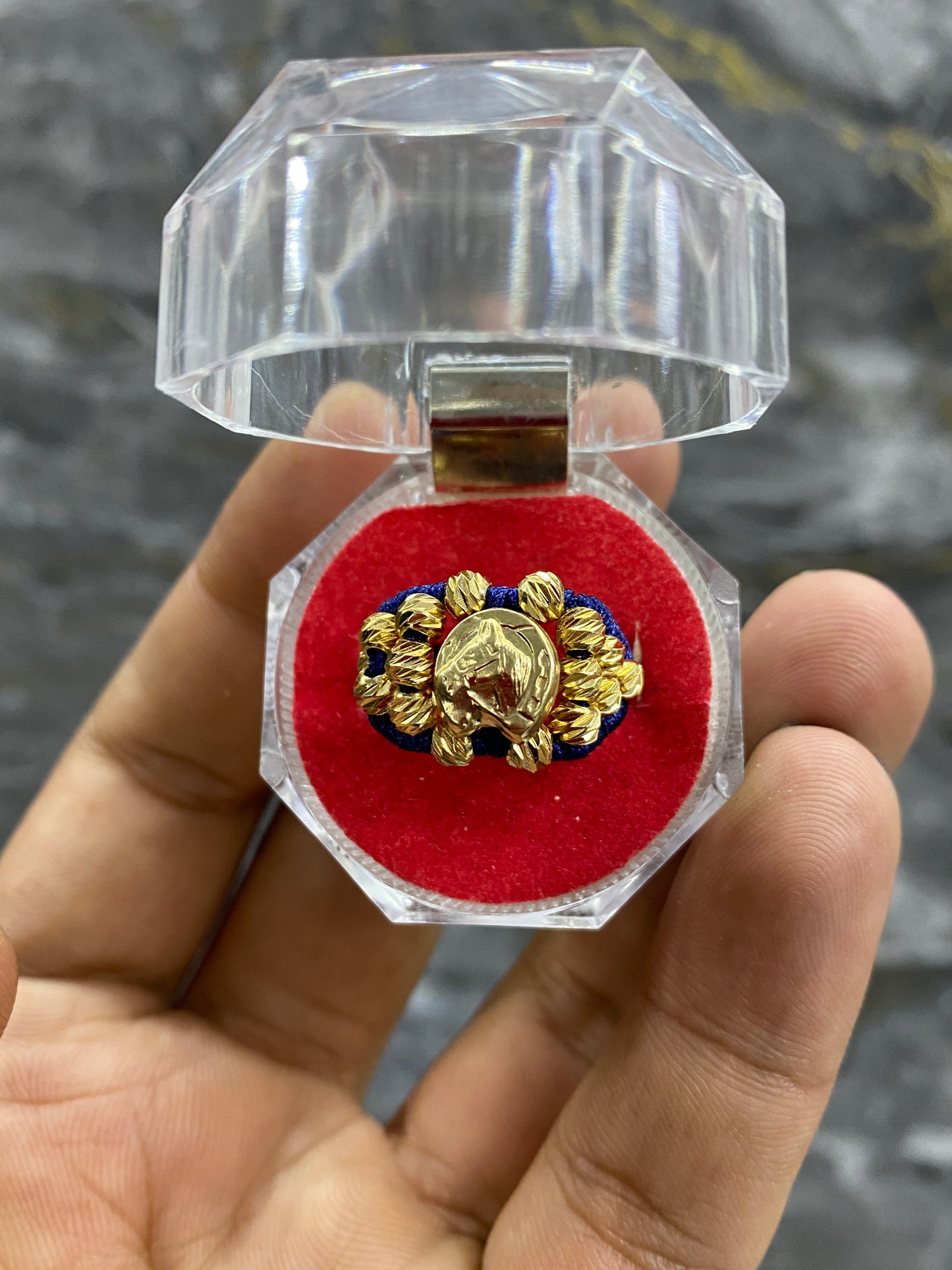 Anillo equino nuevo diseño